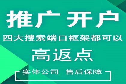 SEM推广实战：成功案例剖析